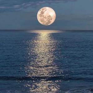 Meet your Posher, Johana